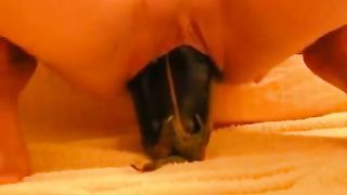 webcam masturbation - super hot eggplant insertion