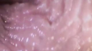 Recorded Cumshot By Webcam In Pussy Doggy Fuck