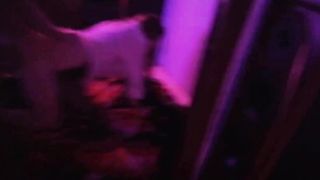 OnlyFans leaked Ahegao oiled up in stockings fucked like a slut!