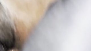 ebony wet pussy fucked in missionary | full video on onlyfans