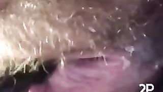23 Year old Rubs Pussy with Hairbrush on Holla