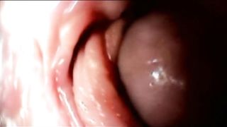 Camera inside Vagina during Missionary Position