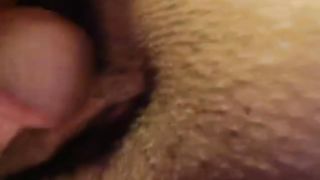 BHM Fuck BBW Str8 Web Cam Sex