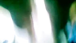 She Rides the Dick Bus