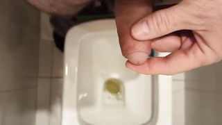 I Pee in the Toilet, Lift my Penis by Masturbation, Prepare it for Entering your Anal.