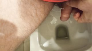 Calm Penis and Morning Urine in the Toilet.